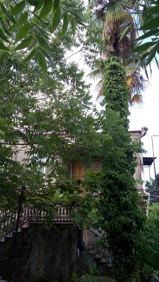 Elco Hotel Zugdidi Bagian luar foto
